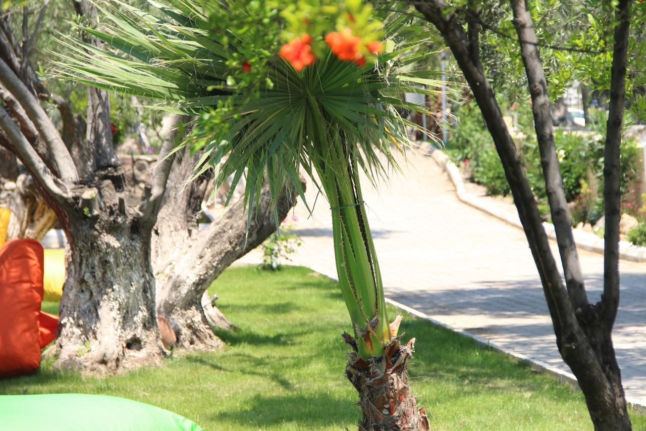 Kayalar Blue Beach Hotel Sazlı Esterno foto